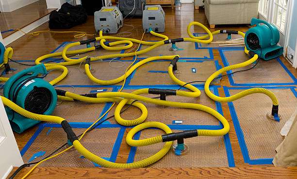 Professional Crawl Space Water Removal technician working in Emory, VA
